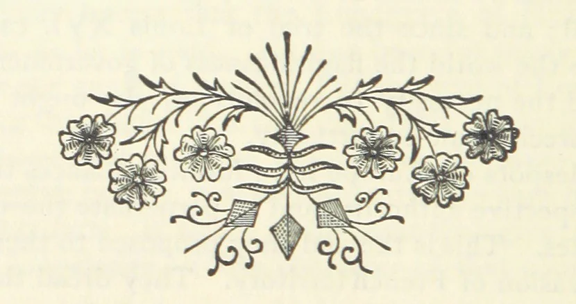 An illustration from The Writings of Thomas Paine. Collected and edited by M. D. Conway, 1894, leaf 140