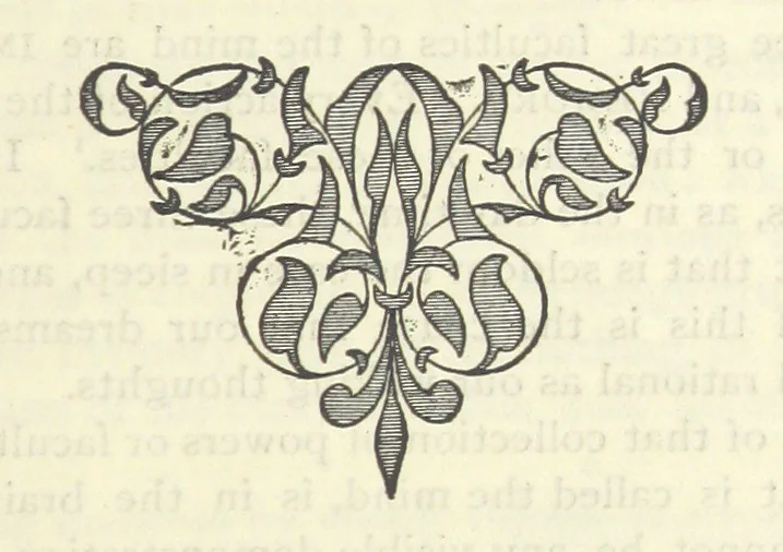 An illustration from The Writings of Thomas Paine. Collected and edited by M. D. Conway, 1894, leaf 389