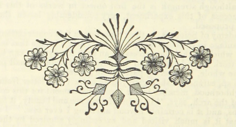 An illustration from The Writings of Thomas Paine. Collected and edited by M. D. Conway, 1894, leaf 474