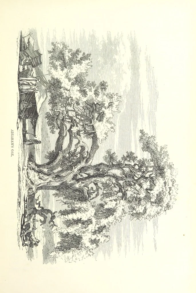 An illustration from Pictorial Journey through the Holy Land; or, Scenes in Palestine. [Reprinted from the “Sunday at Home.”, 1863, leaf 41