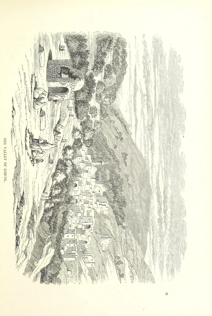 An illustration from Pictorial Journey through the Holy Land; or, Scenes in Palestine. [Reprinted from the “Sunday at Home.”, 1863, leaf 47