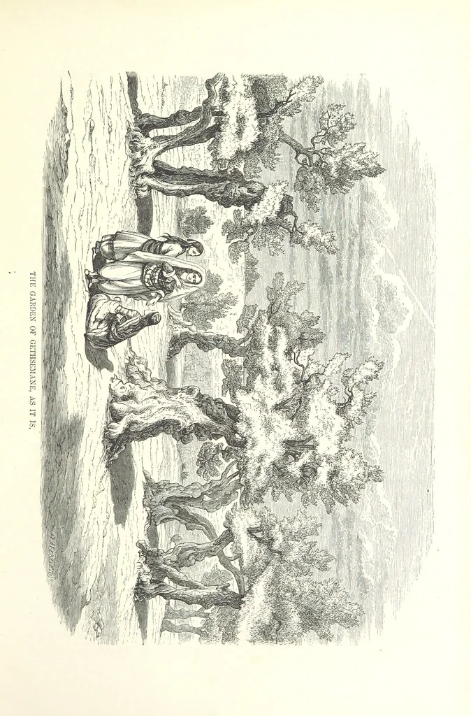 An illustration from Pictorial Journey through the Holy Land; or, Scenes in Palestine. [Reprinted from the “Sunday at Home.”, 1863, leaf 75