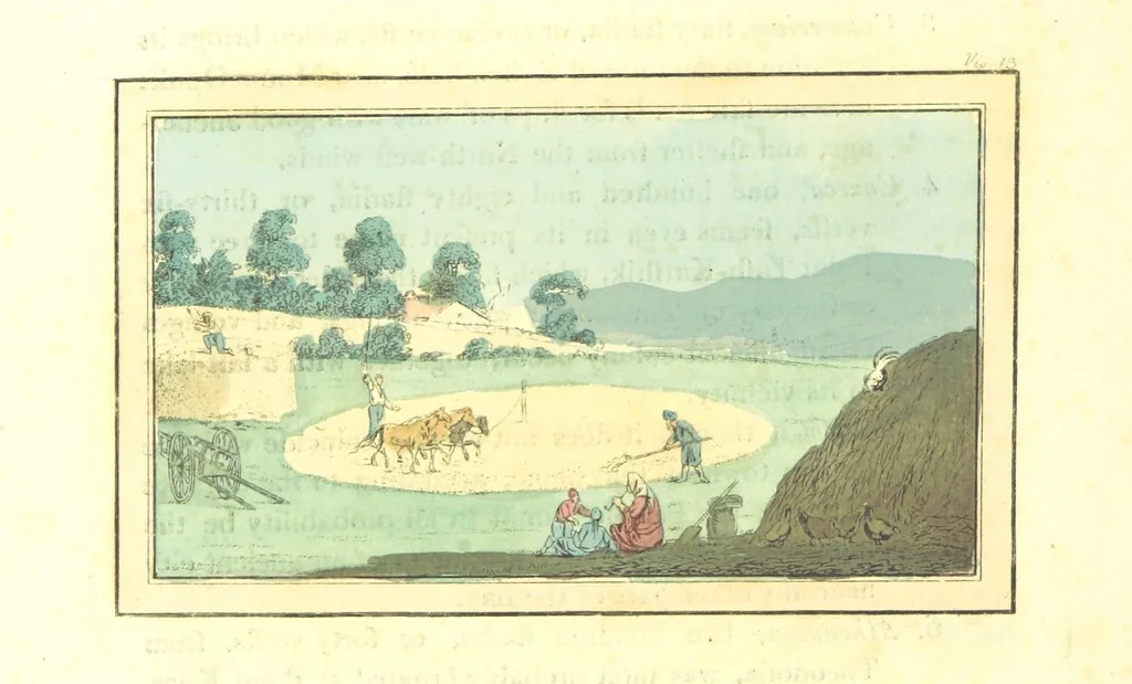 An illustration from Travels through the Southern Provinces of the Russian Empire in 1793 and 1794. Translated from the German [by F. W. Blagdon]. MS. notes, 1812, leaf 448
