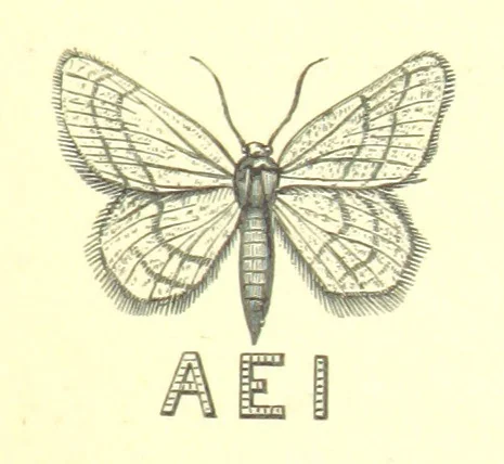 An illustration from Mottoes for Monuments, or Epitaphs selected for study or application ... Illustrated with designs by Flaxman and others, 1872, leaf 121