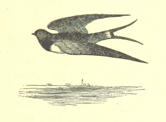 An illustration from Mottoes for Monuments, or Epitaphs selected for study or application ... Illustrated with designs by Flaxman and others, 1872, leaf 165