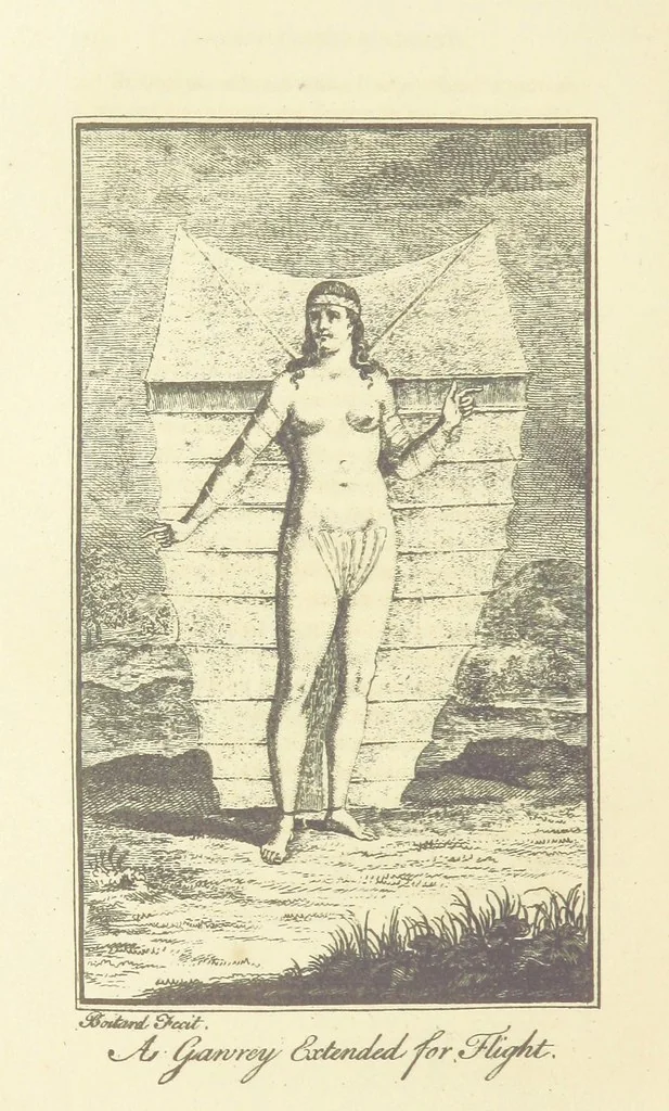 An illustration from The life and adventures of Peter Wilkins ... By R. S., a passenger in the Hector. [The author's introduction signed: R. P. i.e. Robert Paltock, 1884, leaf 212