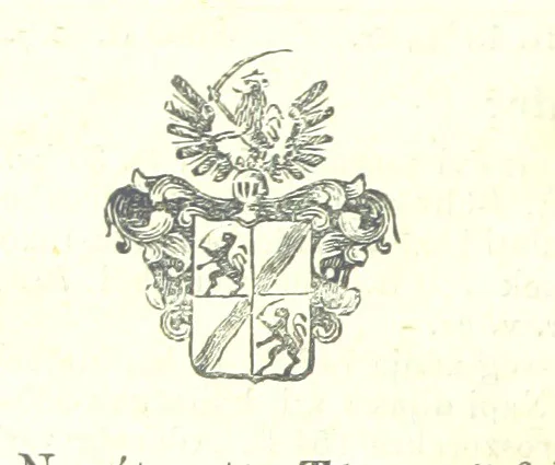 An illustration from Magyarország történeti, földirati s állami legujabb leirása. Köt. 1-4, 1852, leaf 238