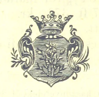 An illustration from Magyarország történeti, földirati s állami legujabb leirása. Köt. 1-4, 1852, leaf 302