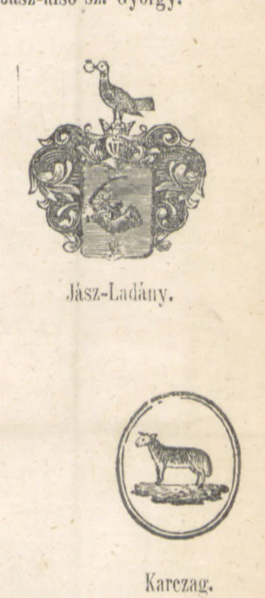 An illustration from Magyarország történeti, földirati s állami legujabb leirása. Köt. 1-4, 1852, leaf 465
