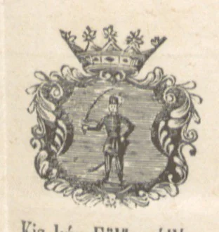 An illustration from Magyarország történeti, földirati s állami legujabb leirása. Köt. 1-4, 1852, leaf 465