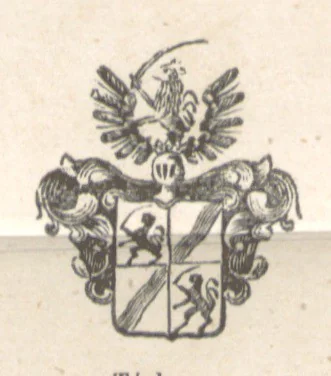 An illustration from Magyarország történeti, földirati s állami legujabb leirása. Köt. 1-4, 1852, leaf 465