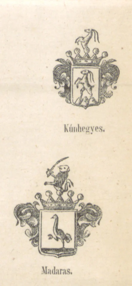 An illustration from Magyarország történeti, földirati s állami legujabb leirása. Köt. 1-4, 1852, leaf 465