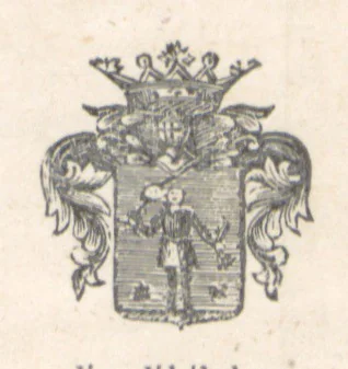 An illustration from Magyarország történeti, földirati s állami legujabb leirása. Köt. 1-4, 1852, leaf 465