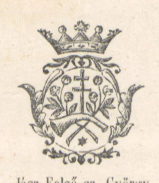 An illustration from Magyarország történeti, földirati s állami legujabb leirása. Köt. 1-4, 1852, leaf 465