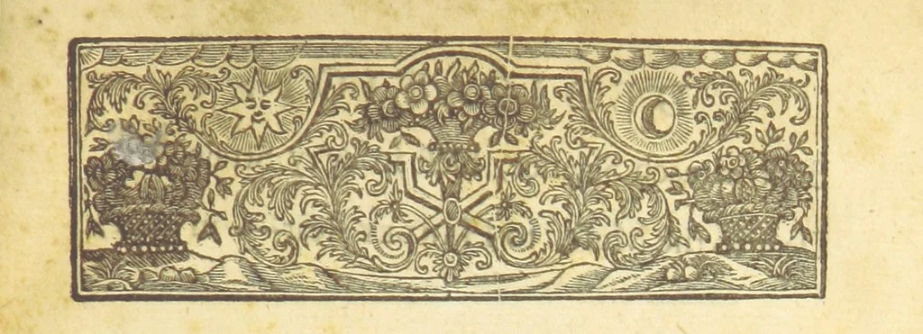 An illustration from Poems on several occasions ... Published [with a dedication, in verse] by Mr. Pope. (Visions [in prose], published in the Spectators, etc.), 1722, leaf 11