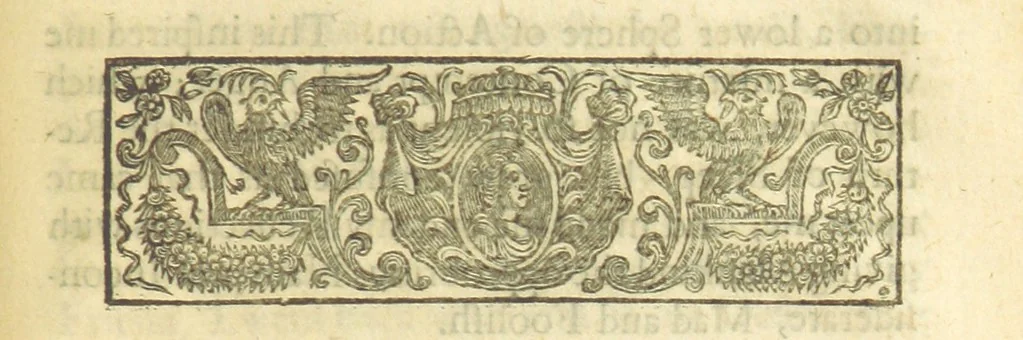 An illustration from Poems on several occasions ... Published [with a dedication, in verse] by Mr. Pope. (Visions [in prose], published in the Spectators, etc.), 1722, leaf 215