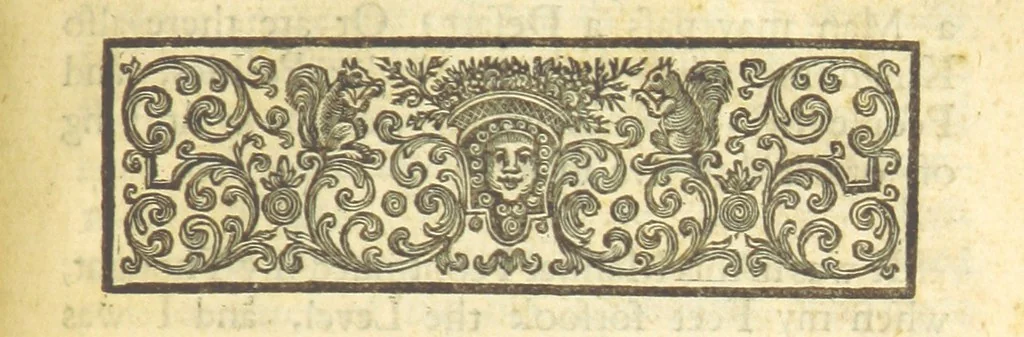 An illustration from Poems on several occasions ... Published [with a dedication, in verse] by Mr. Pope. (Visions [in prose], published in the Spectators, etc.), 1722, leaf 231