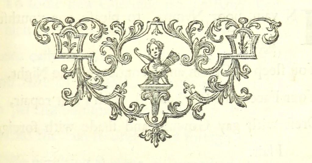 An illustration from Poems on several occasions ... Published [with a dedication, in verse] by Mr. Pope. (Visions [in prose], published in the Spectators, etc.), 1726, leaf 143