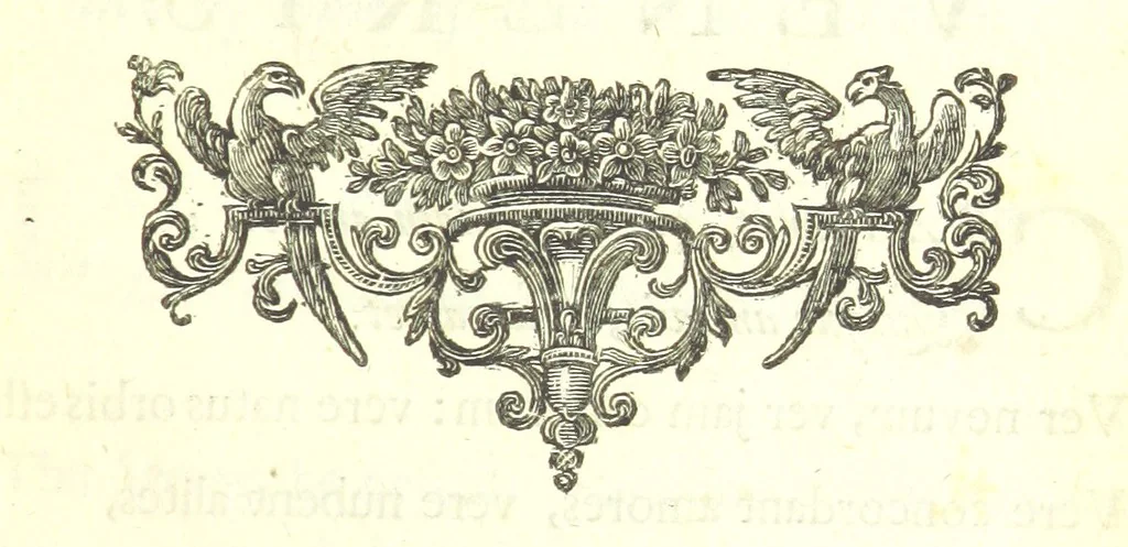 An illustration from Poems on several occasions ... Published [with a dedication, in verse] by Mr. Pope. (Visions [in prose], published in the Spectators, etc.), 1726, leaf 61