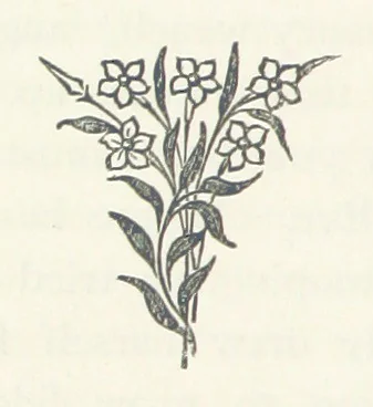 An illustration from Adam and Eve. [A novel, 1881, leaf 160