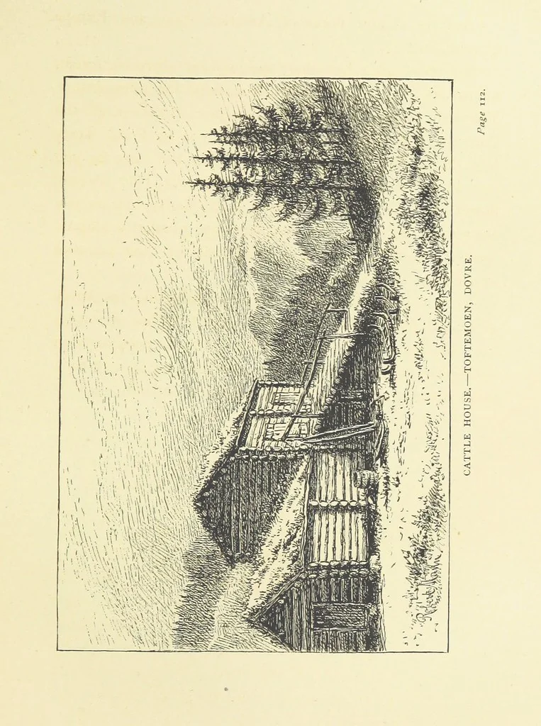 An illustration from Children in Norway; or, Holiday on the Ekeberg. A book for boys and girls. By Pater. ... With ... drawings, etc, 1884, leaf 141