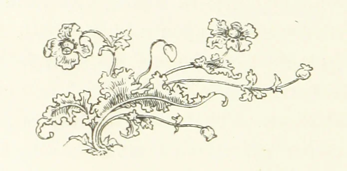 An illustration from Children in Norway; or, Holiday on the Ekeberg. A book for boys and girls. By Pater. ... With ... drawings, etc, 1884, leaf 56