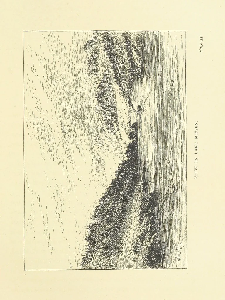An illustration from Children in Norway; or, Holiday on the Ekeberg. A book for boys and girls. By Pater. ... With ... drawings, etc, 1884, leaf 65