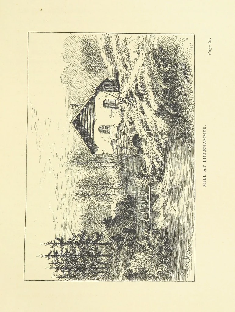 An illustration from Children in Norway; or, Holiday on the Ekeberg. A book for boys and girls. By Pater. ... With ... drawings, etc, 1884, leaf 73