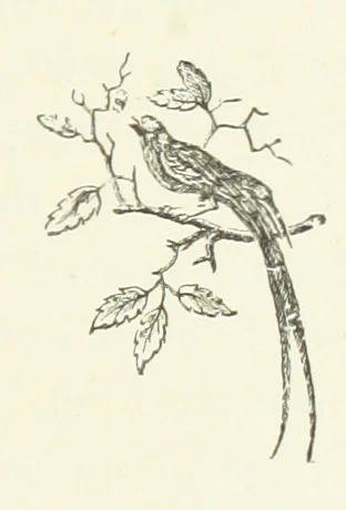 An illustration from Children in Norway; or, Holiday on the Ekeberg. A book for boys and girls. By Pater. ... With ... drawings, etc, 1884, leaf 75