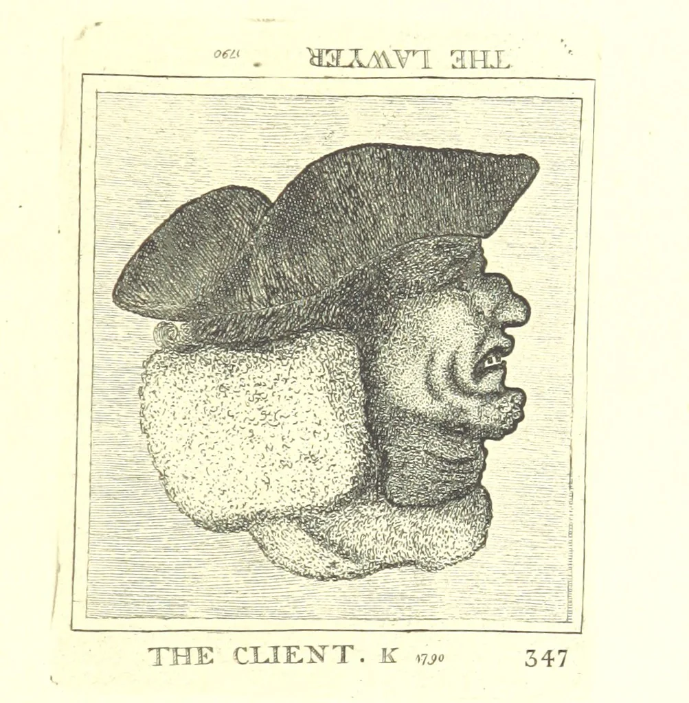 An illustration from A series of original Portraits and Caricature Etchings by ... J. Kay; ... with biographical sketches and illustrative anecdotes. [Edited by H. P, 1877, leaf 855