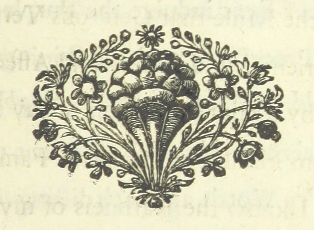 An illustration from The Poetical Works of ... W. Pattison. (Memoirs of the author's life, etc.) [Edited by Lucasia, 1728, leaf 281