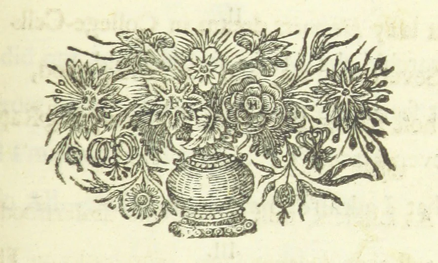 An illustration from The Poetical Works of ... W. Pattison. (Memoirs of the author's life, etc.) [Edited by Lucasia, 1728, leaf 289