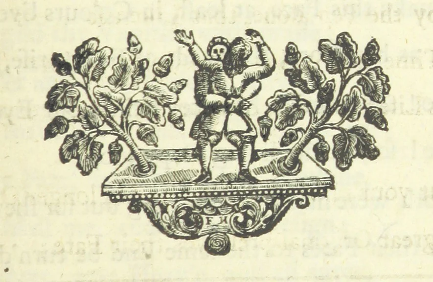 An illustration from The Poetical Works of ... W. Pattison. (Memoirs of the author's life, etc.) [Edited by Lucasia, 1728, leaf 313