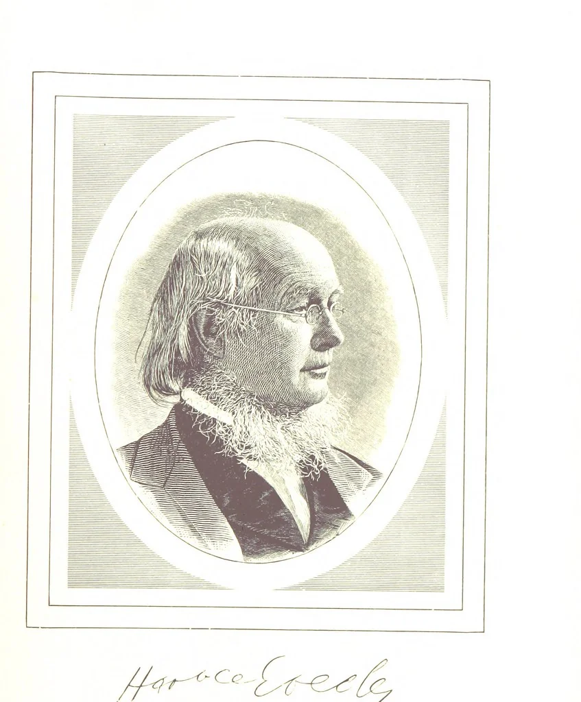 An illustration from Patton's Concise History of the American People, from the disoveries of the Continent to 1876 ... Illustrated, etc, 1887, leaf 231
