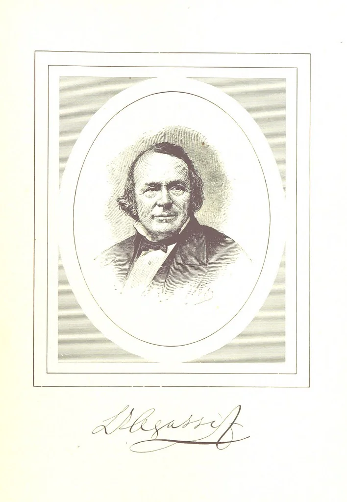 An illustration from Patton's Concise History of the American People, from the disoveries of the Continent to 1876 ... Illustrated, etc, 1887, leaf 571