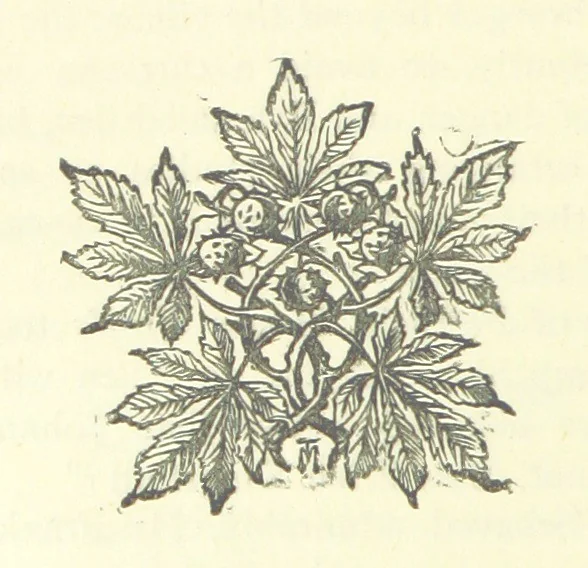 An illustration from Evelyn Howard: or, Early Friendships ... With ... illustrations, 1875, leaf 106