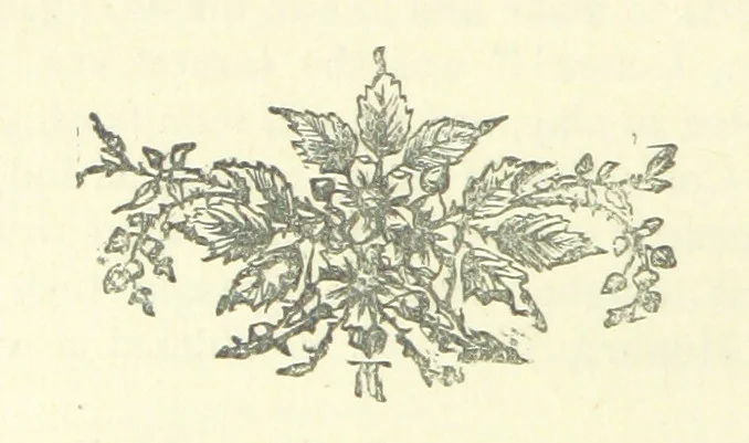 An illustration from Evelyn Howard: or, Early Friendships ... With ... illustrations, 1875, leaf 130