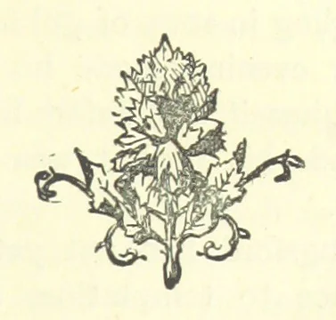 An illustration from Evelyn Howard: or, Early Friendships ... With ... illustrations, 1875, leaf 153