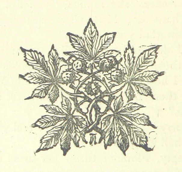 An illustration from Evelyn Howard: or, Early Friendships ... With ... illustrations, 1875, leaf 180