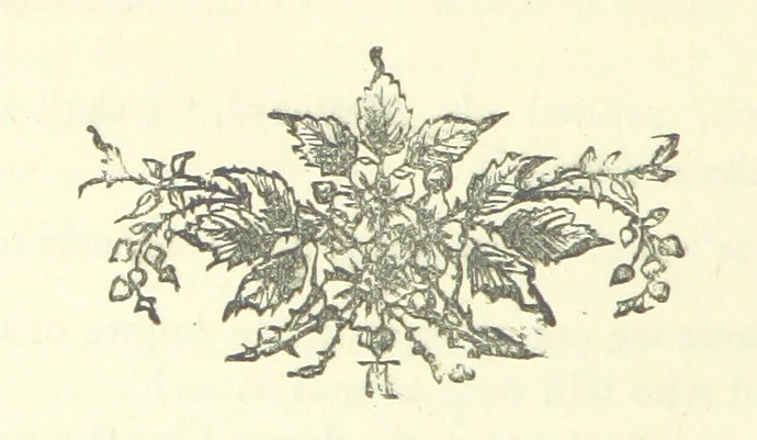 An illustration from Evelyn Howard: or, Early Friendships ... With ... illustrations, 1875, leaf 200