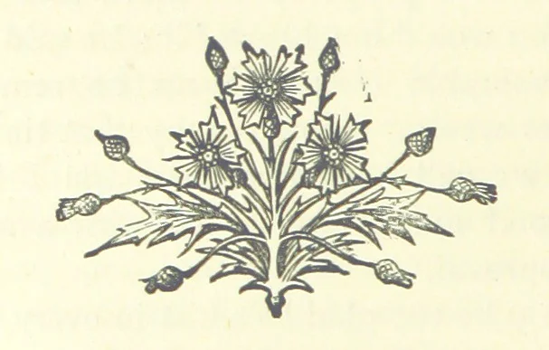 An illustration from Evelyn Howard: or, Early Friendships ... With ... illustrations, 1875, leaf 234
