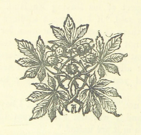 An illustration from Evelyn Howard: or, Early Friendships ... With ... illustrations, 1875, leaf 292