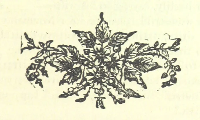 An illustration from Evelyn Howard: or, Early Friendships ... With ... illustrations, 1875, leaf 325