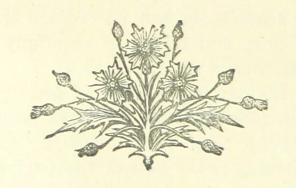 An illustration from Evelyn Howard: or, Early Friendships ... With ... illustrations, 1875, leaf 34