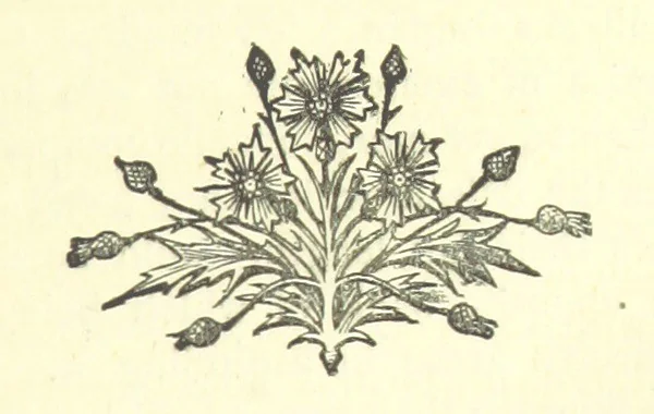 An illustration from Evelyn Howard: or, Early Friendships ... With ... illustrations, 1875, leaf 401