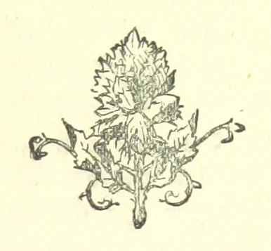An illustration from Evelyn Howard: or, Early Friendships ... With ... illustrations, 1875, leaf 477
