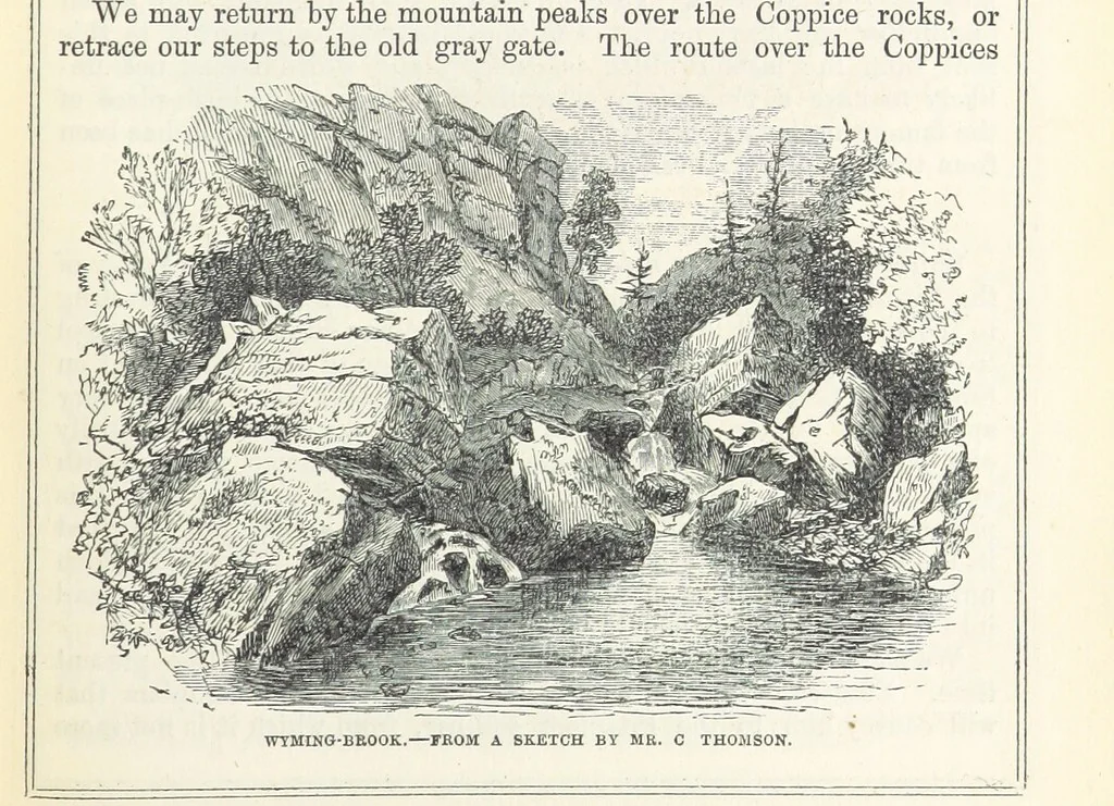 An illustration from Pawson and Brailsford's Illustrated Guide to Sheffield and neighbourhood, etc, 1862, leaf 191
