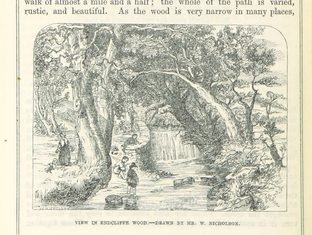 An illustration from Pawson and Brailsford's Illustrated Guide to Sheffield and neighbourhood, etc, 1862, leaf 196