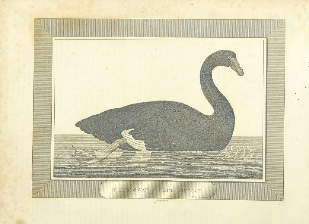 An illustration from The Voyages and Travels of Capt. Cook, Mungo Park, La Perouse, and others; ... with a ... geographical description of the World. Embellished with ... engravings and maps. (The World or the present state of the Universe. ... Vol. II.), 1808, leaf 101
