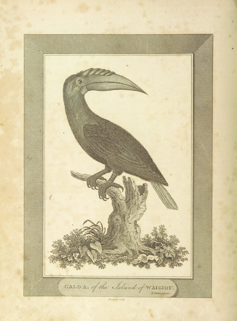 An illustration from The Voyages and Travels of Capt. Cook, Mungo Park, La Perouse, and others; ... with a ... geographical description of the World. Embellished with ... engravings and maps. (The World or the present state of the Universe. ... Vol. II.), 1808, leaf 166